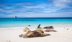 Ecuador - Galápagos-szigetek